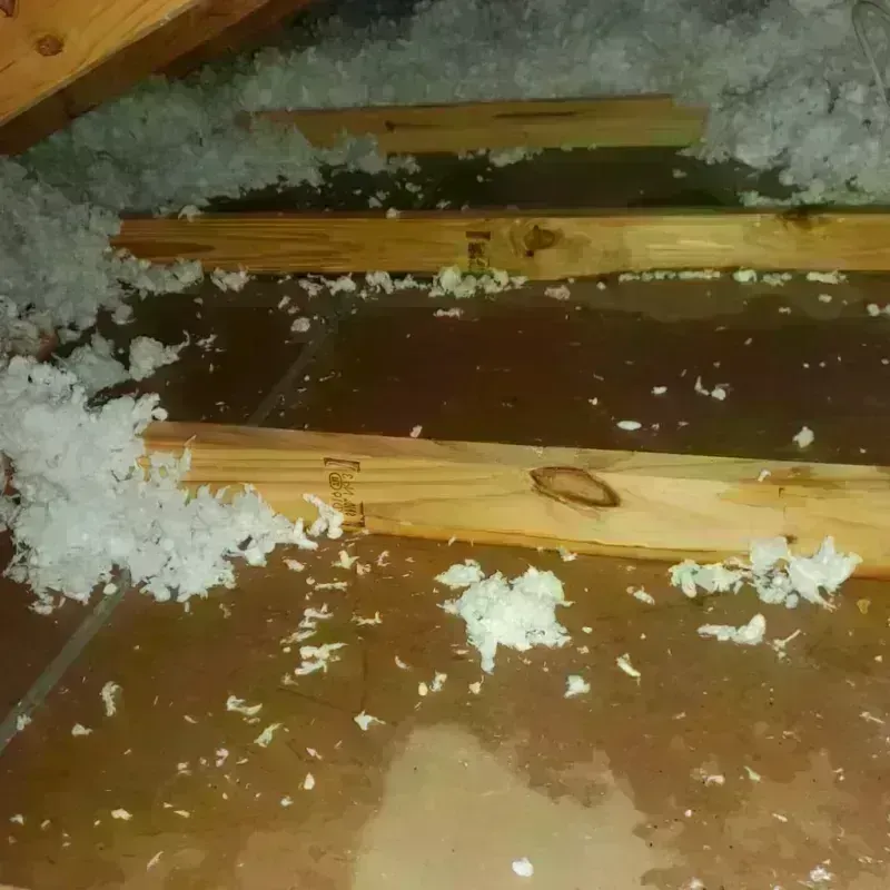 Attic Water Damage in Stanford, KY